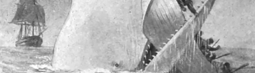 Moby-Dick
